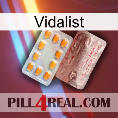 Vidalist new13